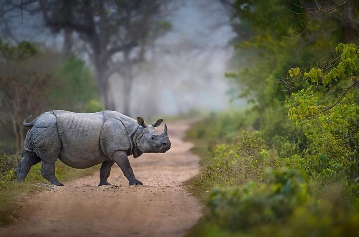 Northeast India